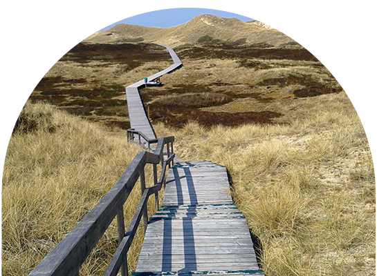 Weg zum Strand